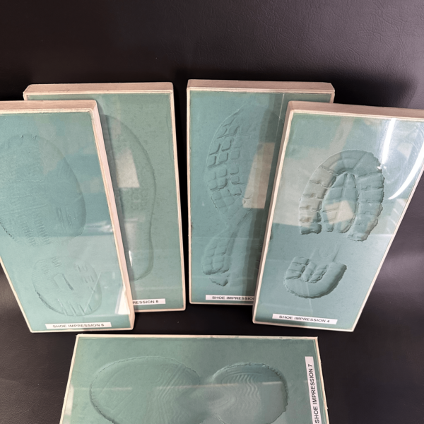 3D Foam Shoe Impression No. 4 Only