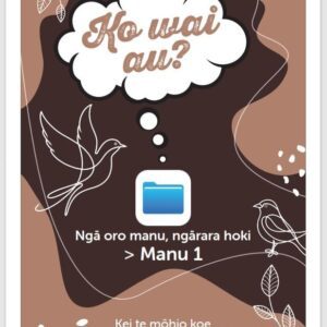 Cards: Native Bird and Insect FRST - TE REO (13)