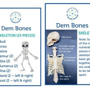 Labels: Skeleton Bag Labels #1 and #2 (Set of 10)