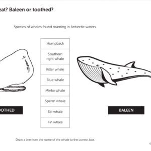 Handout: How Do I Eat? (30)