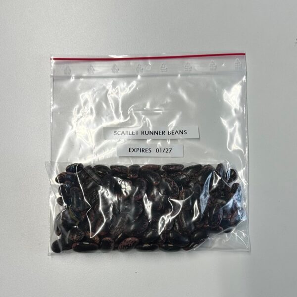 Scarlet Runner Beans - 150g