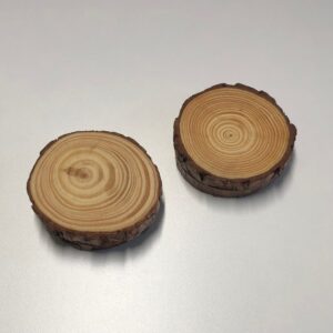 Tree Trunk Slices (ea)