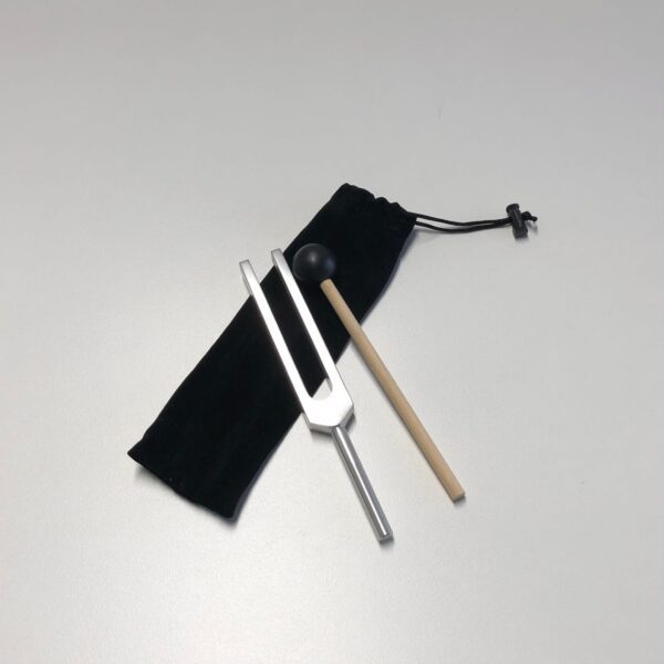 Single Tuning Fork