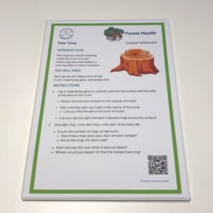 Worksheet: Tree Time - Green Laminated FRST (12)