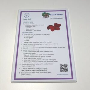 Worksheet: Seed Stuff - Purple Laminated FRST (12)