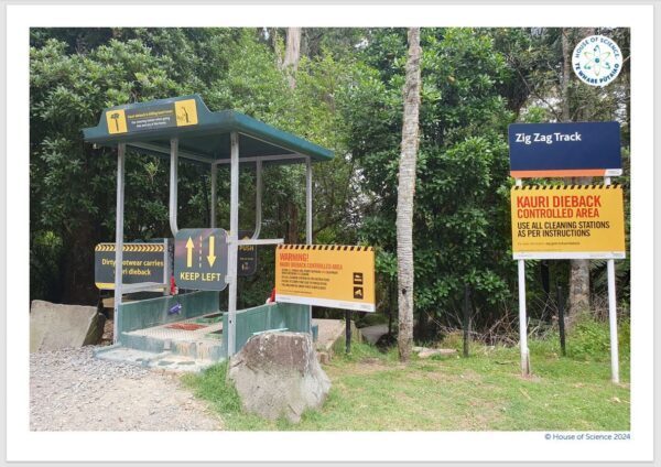 Posters: Kauri Dieback Cleaning Station Example FRST
