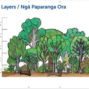 Floor Poster: New Zealand Forest/Living Layers (8 x A3 - Double Sided)
