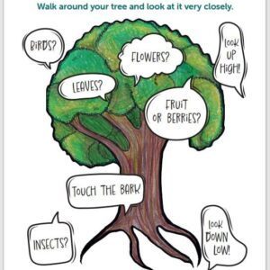 Cards: Get to Know a Tree - Meet and Greet FRST (5)