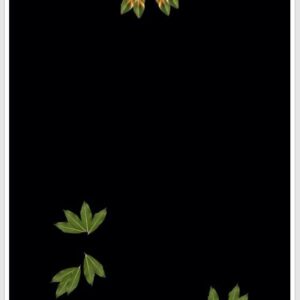 Posters: Under Threat Part B: Myrtle Rust FRST (1)