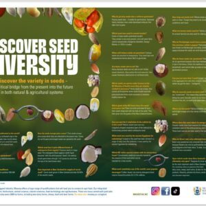 Posters: Seed Stuff - Discover Seed Diversity FRST (5)