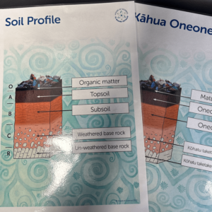 Poster: Soil Profile in Mesh bag with Label