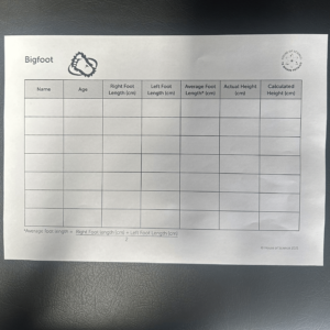 Handout: Big-foot D/S B/W WHDI (30)