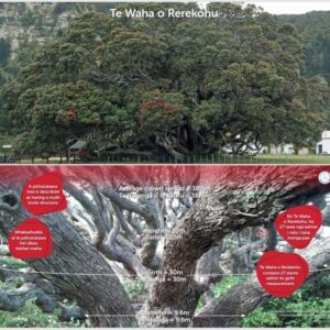 Floor Poster: Te Waha o Rerekohu  (3 x A3 - Double Sided)