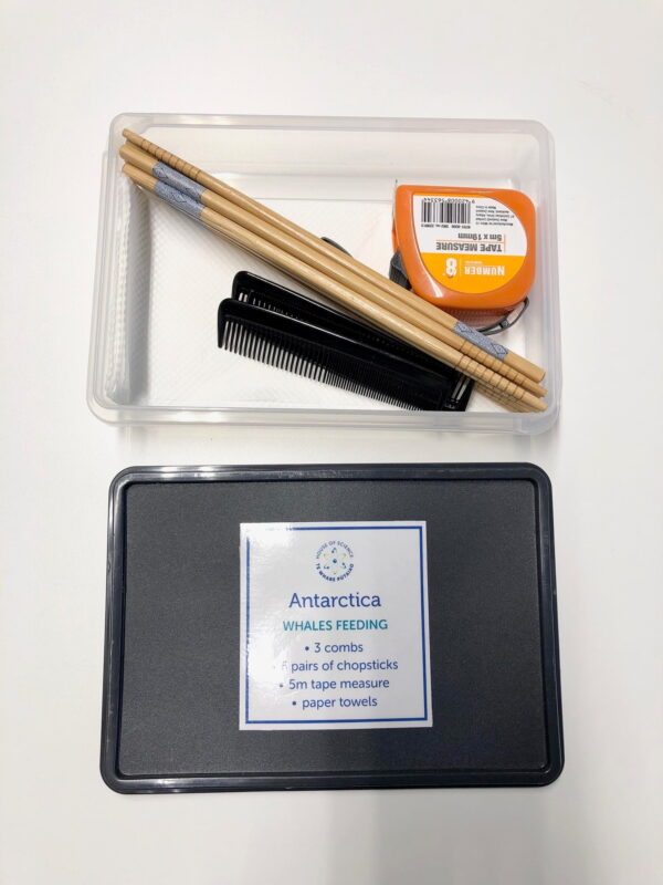 Box: Antarctica Whale Feeding Box