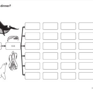Handout: What's for Dinner? (30)