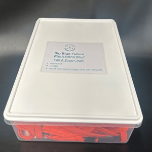 Who is Eating Who? Part A Food Chain Box
