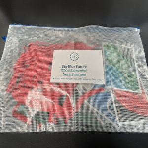 Who is Eating Who Part B: Food Web Bag and Label only