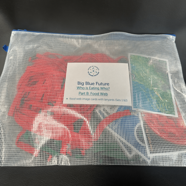 Who is Eating Who Part B: Food Web Bag and Label only