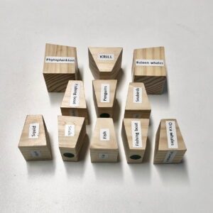 Antarctic Food Chain Block Set of 11 - Labelled