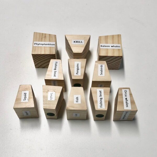 Antarctic Food Chain Block Set of 11 - Labelled