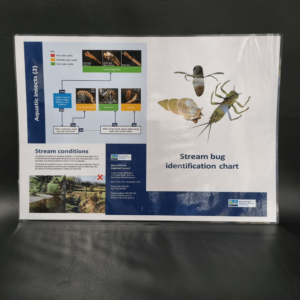 Bug Id Guide (10) ENG