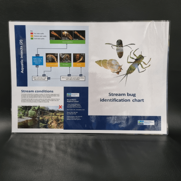 Bug Id Guide (10) ENG