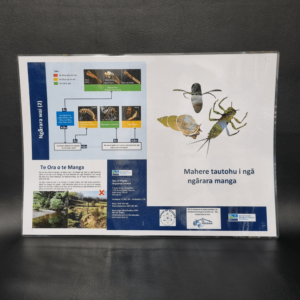 Bug Id Guide (10) MAO
