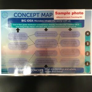 Poster: Concept Map Who Diddit?