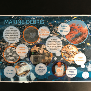 Poster: Marine Debris