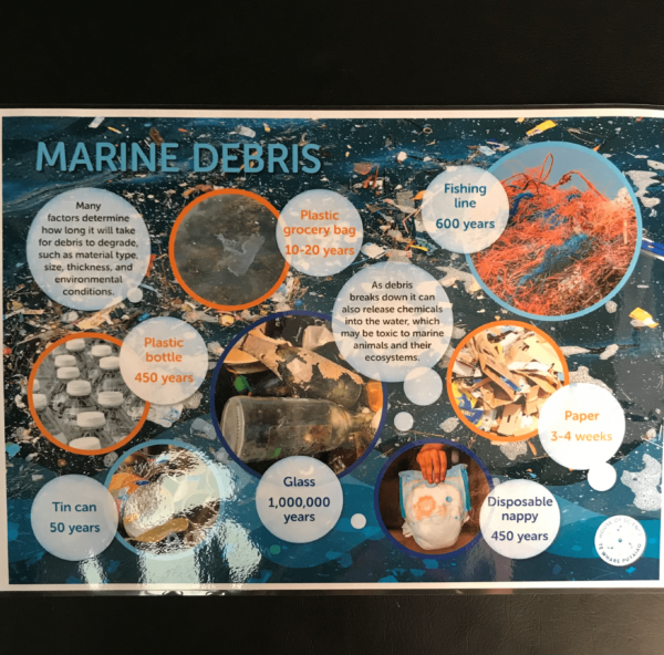 Poster: Marine Debris