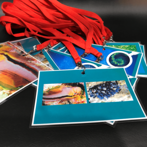 Marine Food Web Set 2 (Turquoise Border) (15 Cards without lanyards)