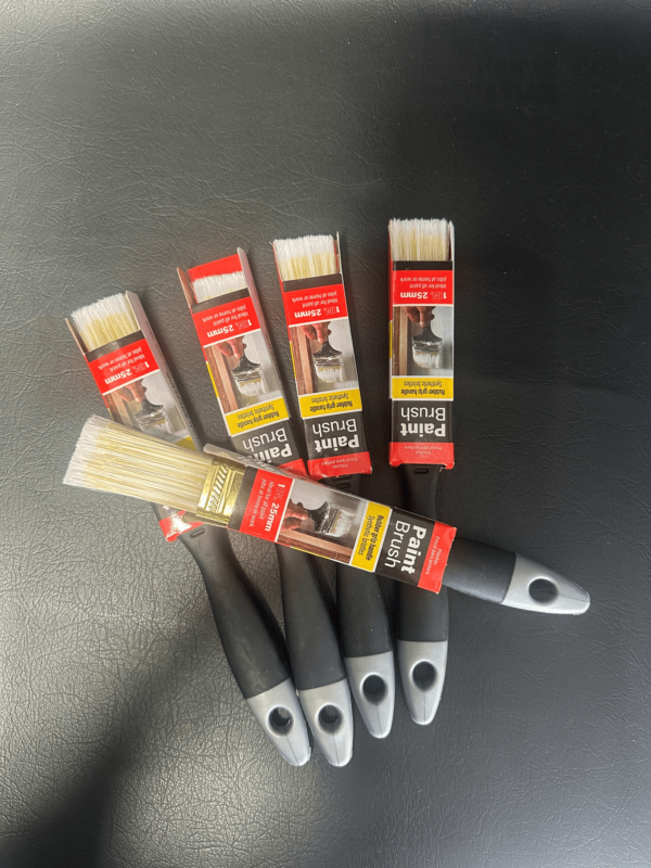 Paint Brush 20mm Wide flat (5)