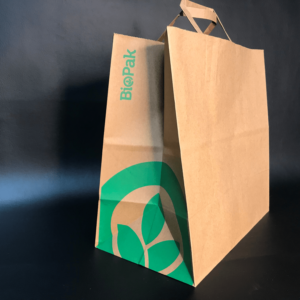 Paper Bag with Handle (10)