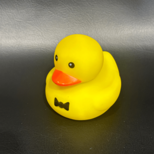 Duck or Similar Float Toy