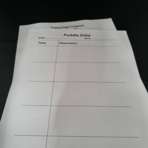 Handout: Puddle Data D/S B/W WNDR (30)