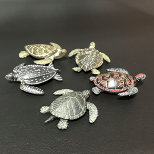Sea Turtles Labelled Set of 8