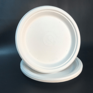 Sugarcane Plate (5)