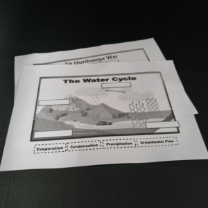 Handout: Water Cycle D/S B/W WNDR (30)
